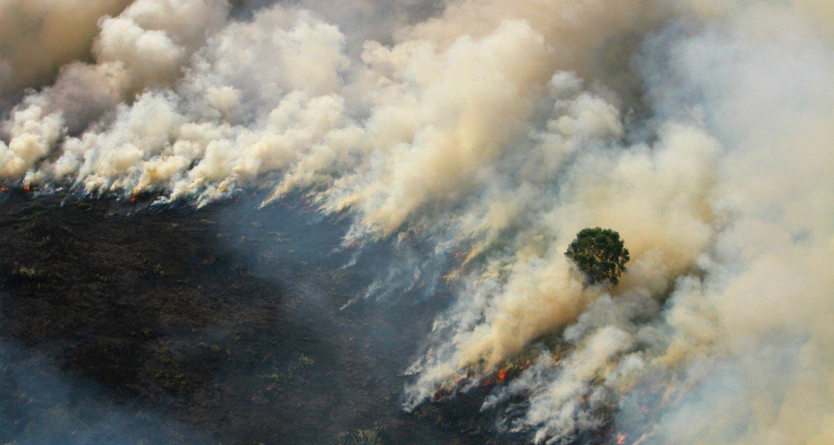Indonesia Forest Fire – Malaysia To Carry Out Aerial Cloud Seeding Operation Today As Situation Worsens